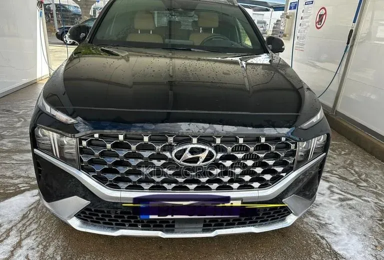 Hyundai Santa Fe 2023 Autre