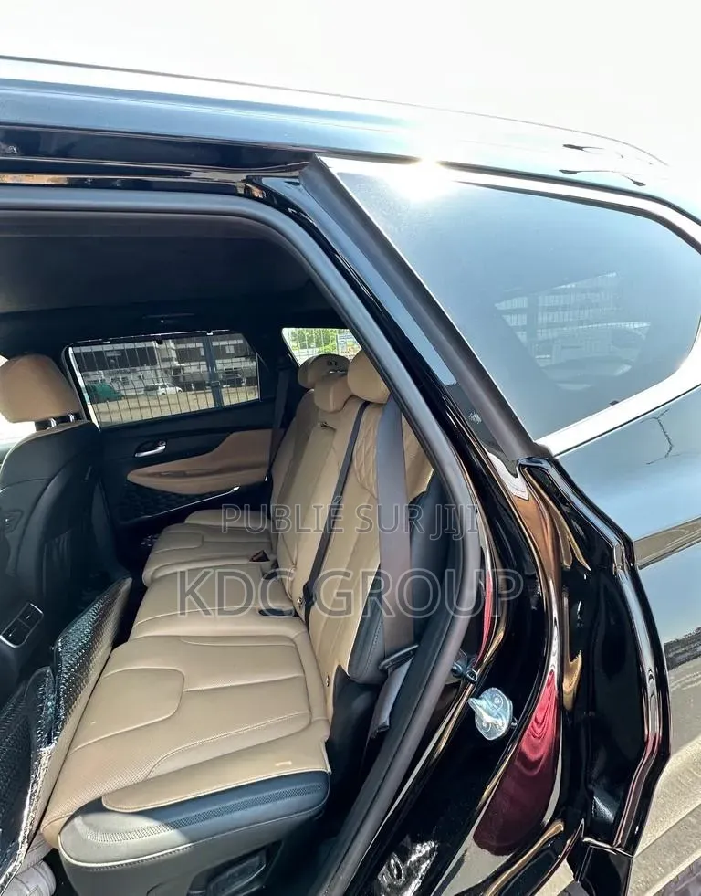 Hyundai Santa Fe 2023 Autre