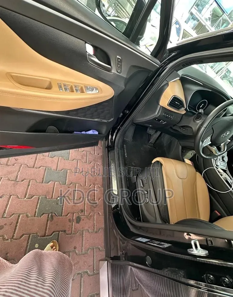 Hyundai Santa Fe 2023 Autre