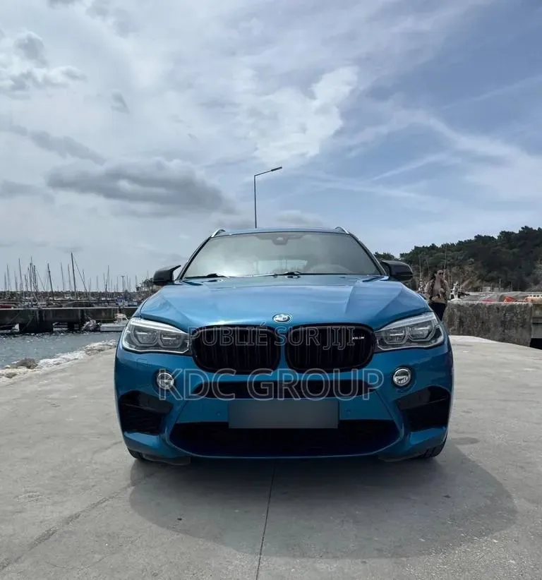 BMW X6 2017 Bleu