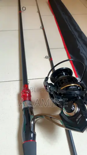 Canne À Peche Complèt