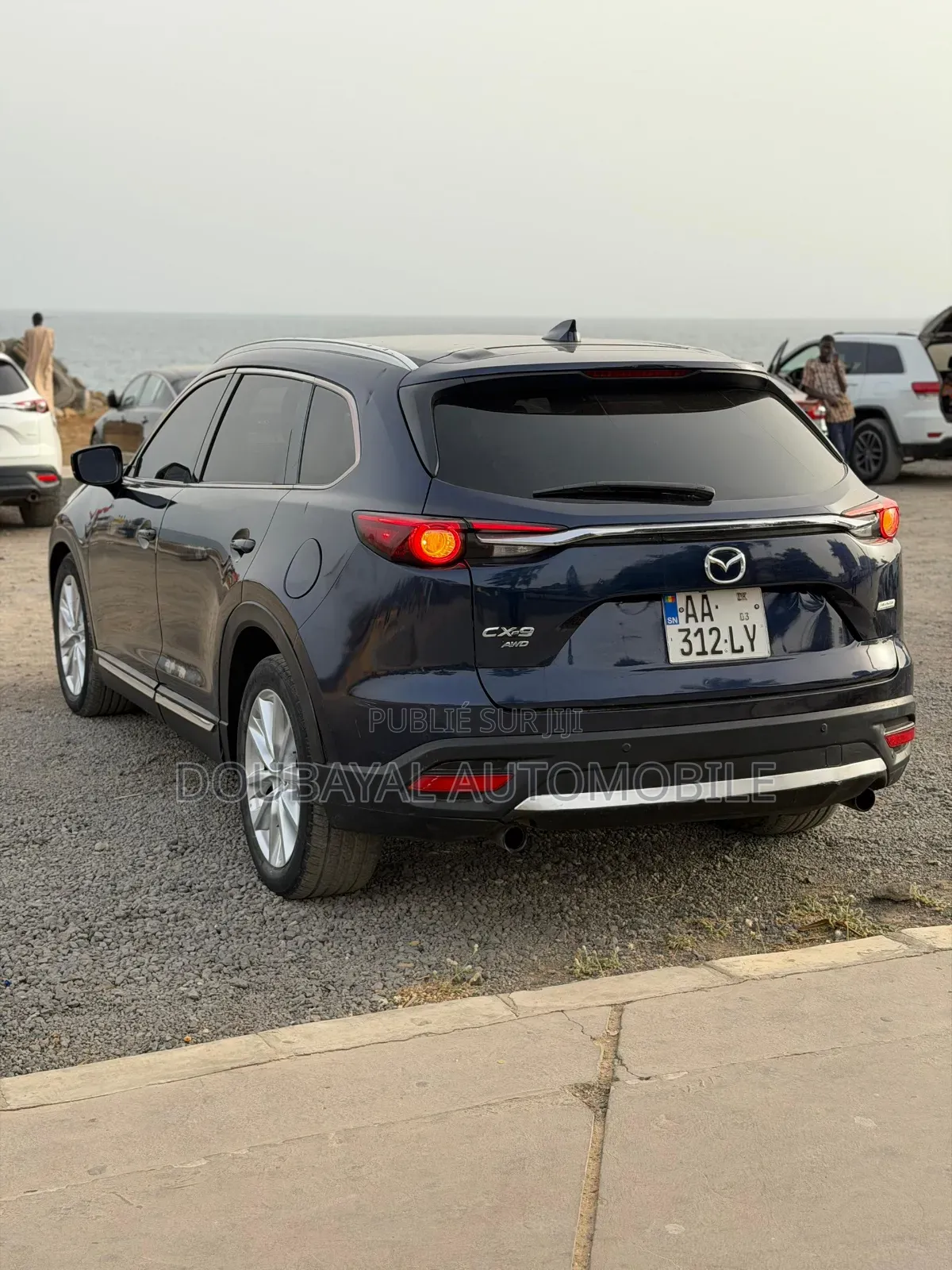 Mazda CX-9 2016 Bleu
