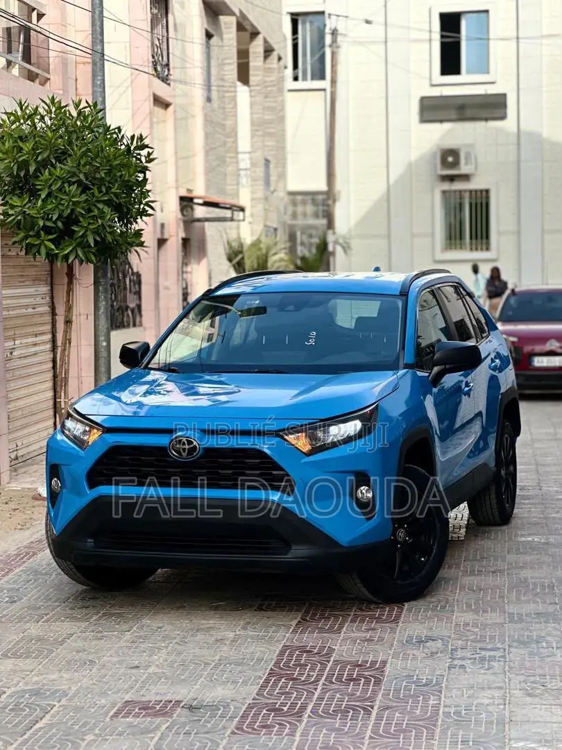 Toyota RAV4 2019 Bleu