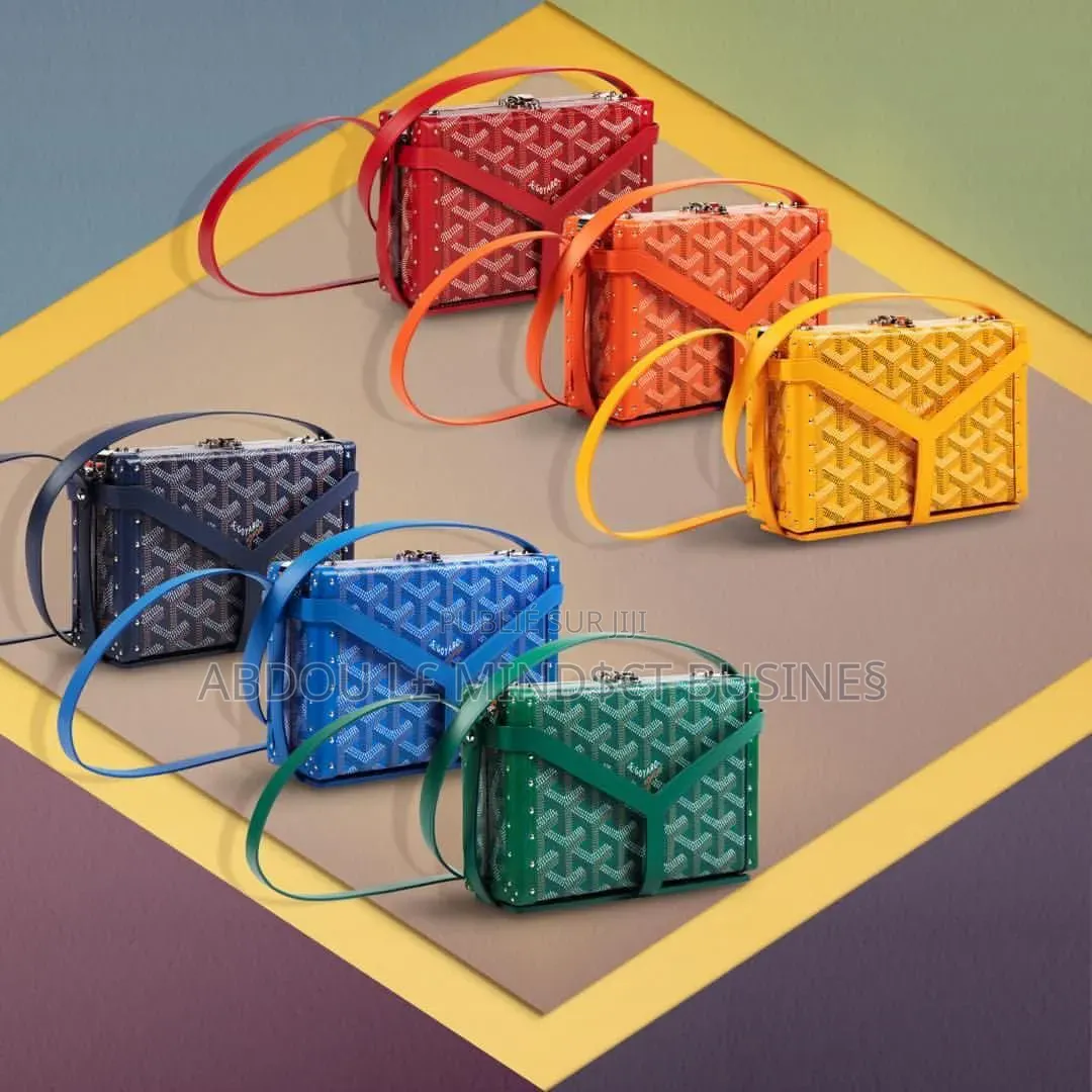 New Model Sacoche Goyard Disponible