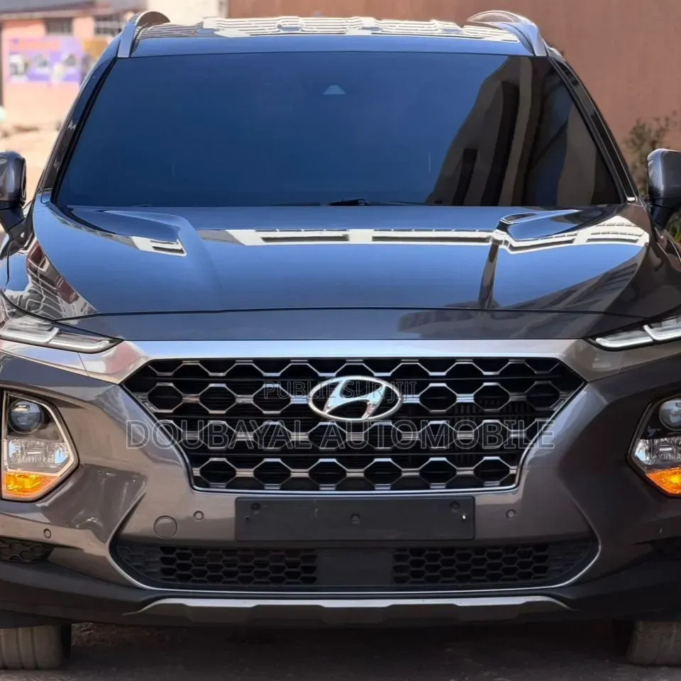 Hyundai Santa Fe 2021 Gris