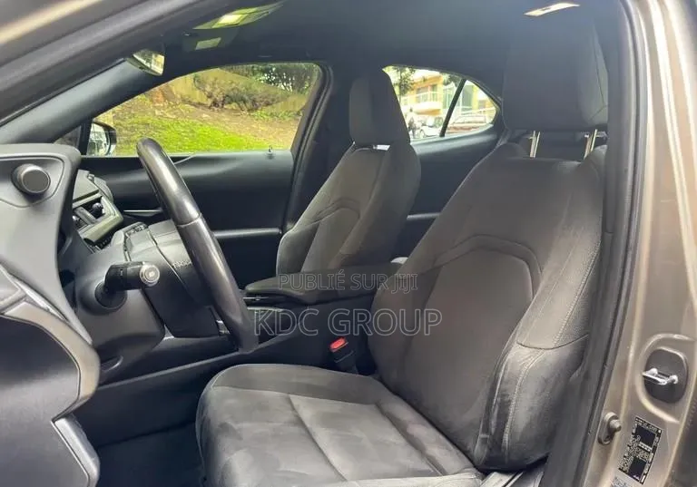 Lexus UX 2021 Autre