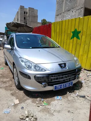 Peugeot 307 2008 Gris