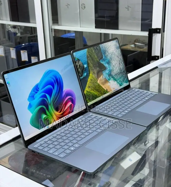 Nouveau Microsoft Autre 16GB Qualcomm Snapdragon X Plus SSD 512GB