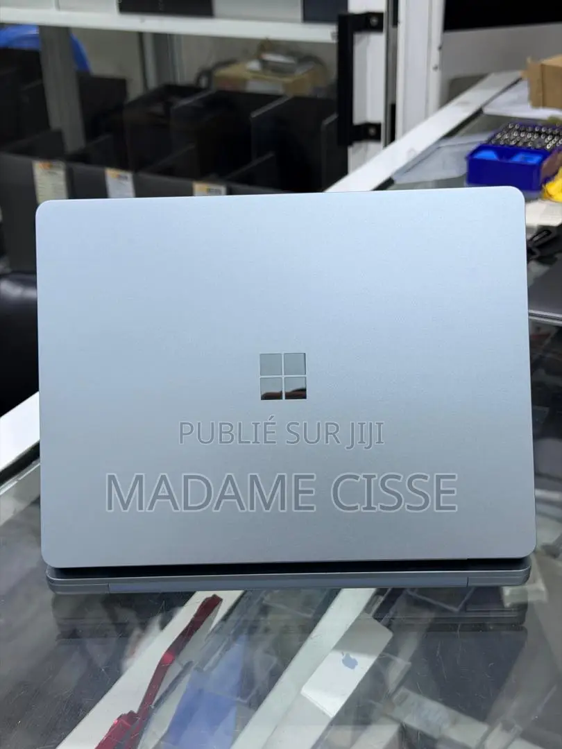 Nouveau Microsoft Autre 16GB Qualcomm Snapdragon X Plus SSD 512GB