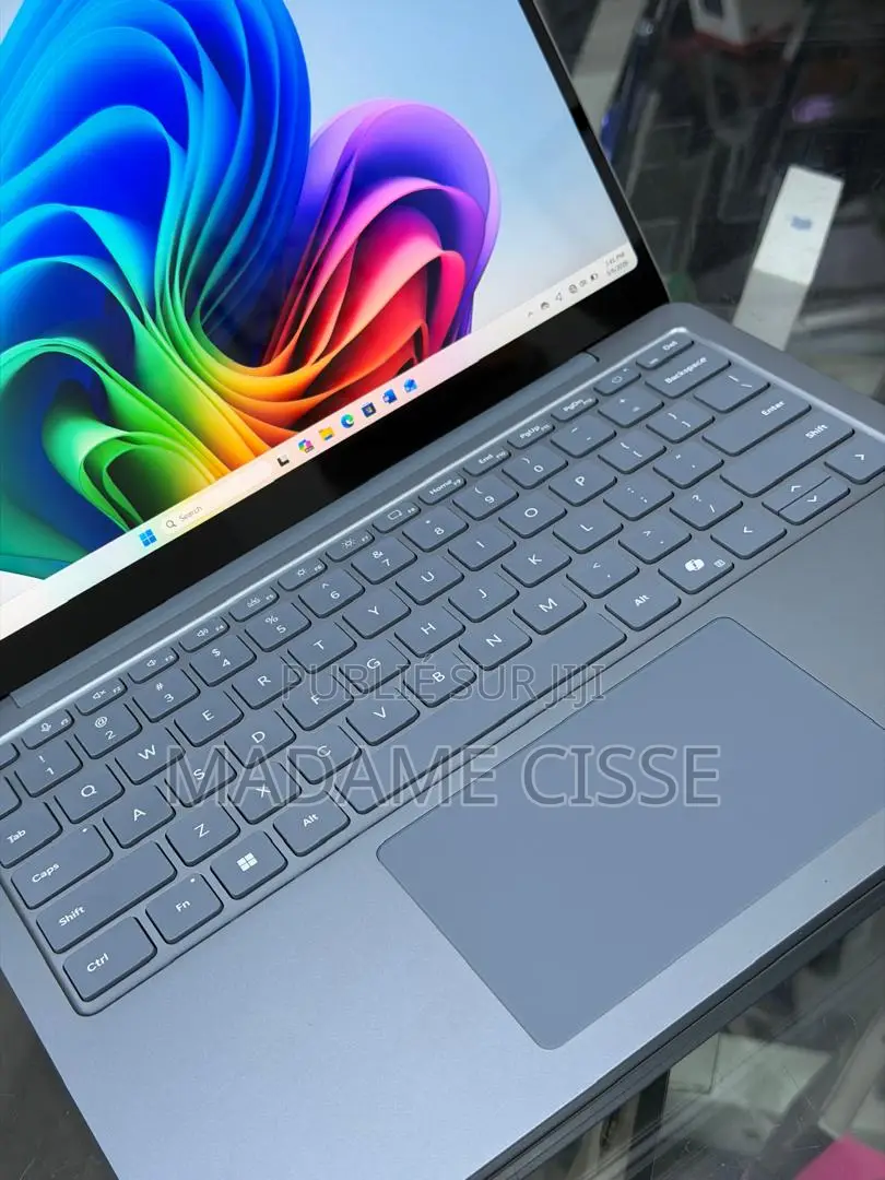 Nouveau Microsoft Autre 16GB Qualcomm Snapdragon X Plus SSD 512GB