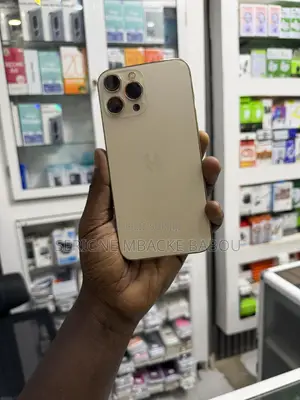 Apple iPhone 13 Pro Max 256 GB Argenté
