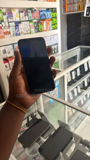 Apple iPhone 13 Pro Max 256 GB Argenté