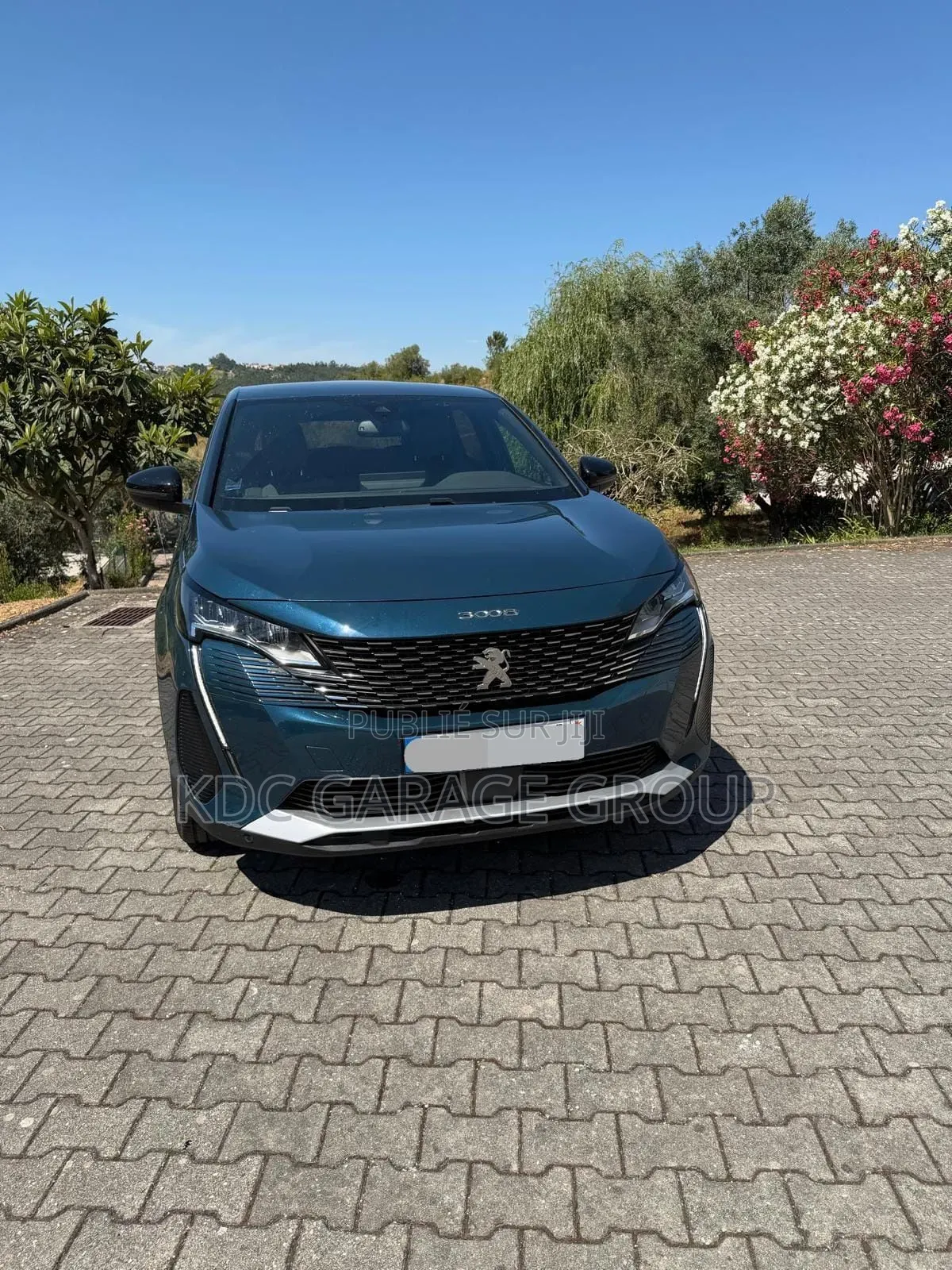 Peugeot 3008 2023 Gris