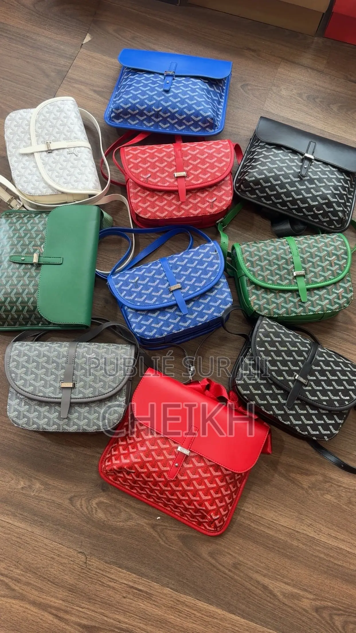 Sacoche Goyard Paris