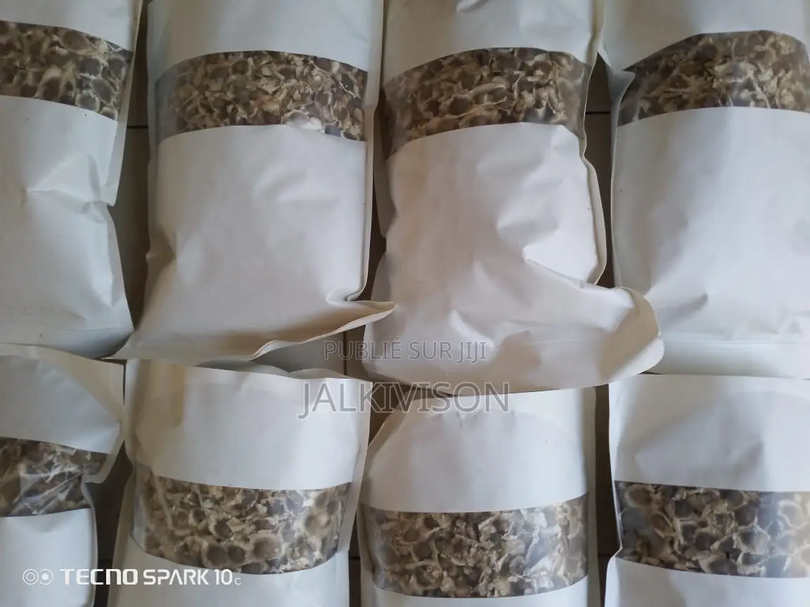 Graines De Moringa