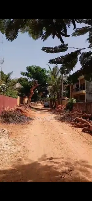 Ngaparou Terrain