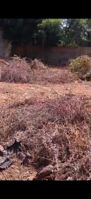 Ngaparou Terrain