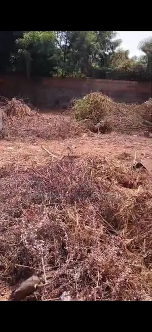Ngaparou Terrain