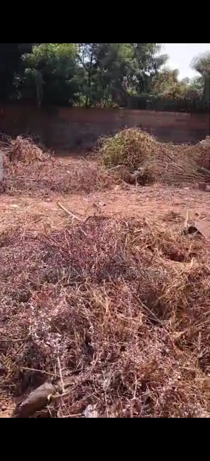 Ngaparou Terrain