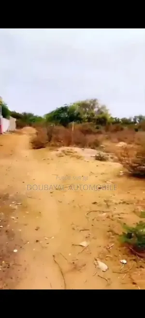 Ngaparou Terrain