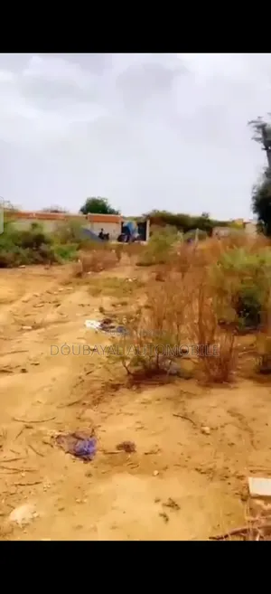 Ngaparou Terrain