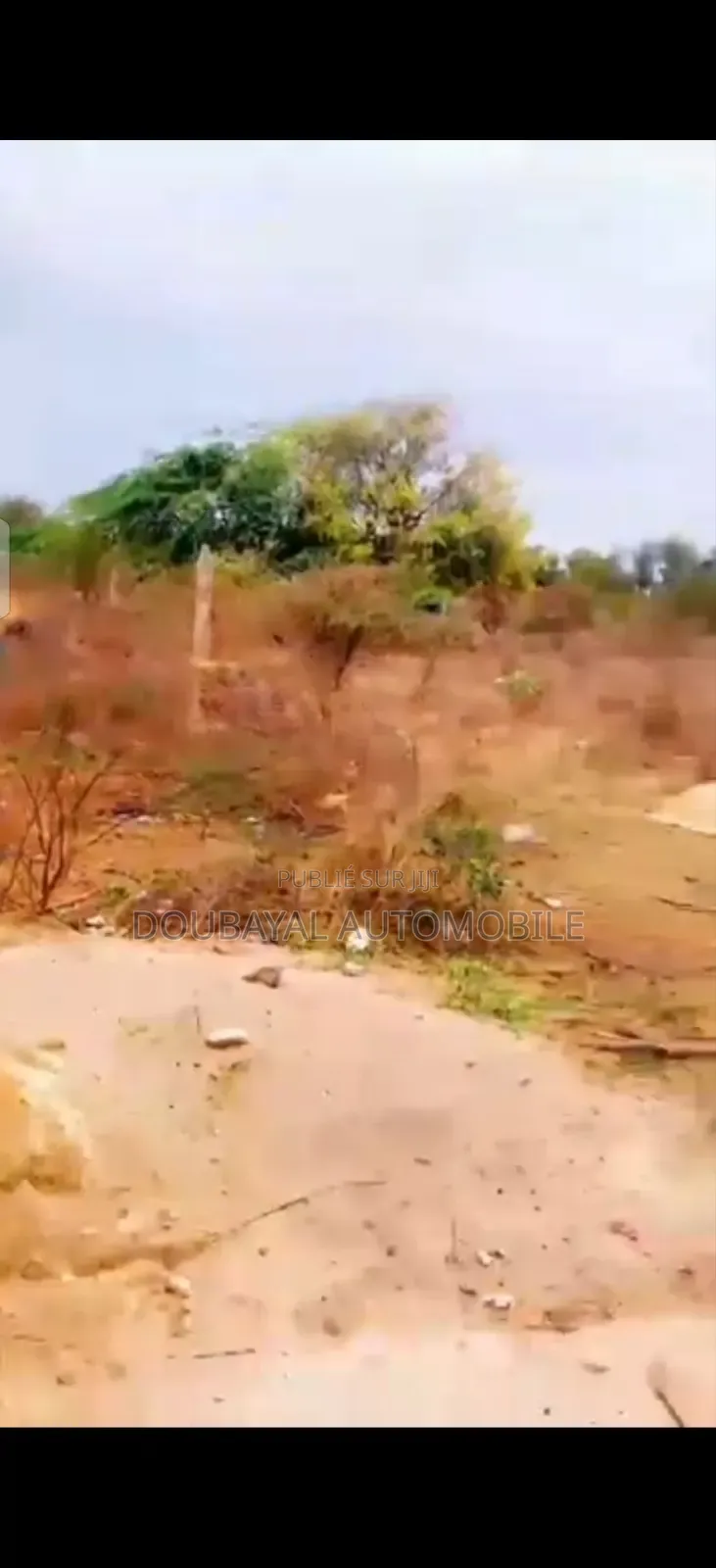 Ngaparou Terrain