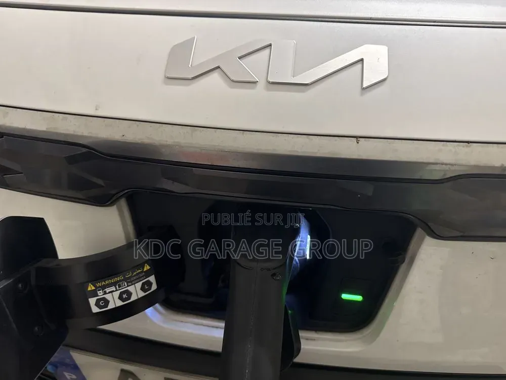 Kia Niro EV 2022 Blanc
