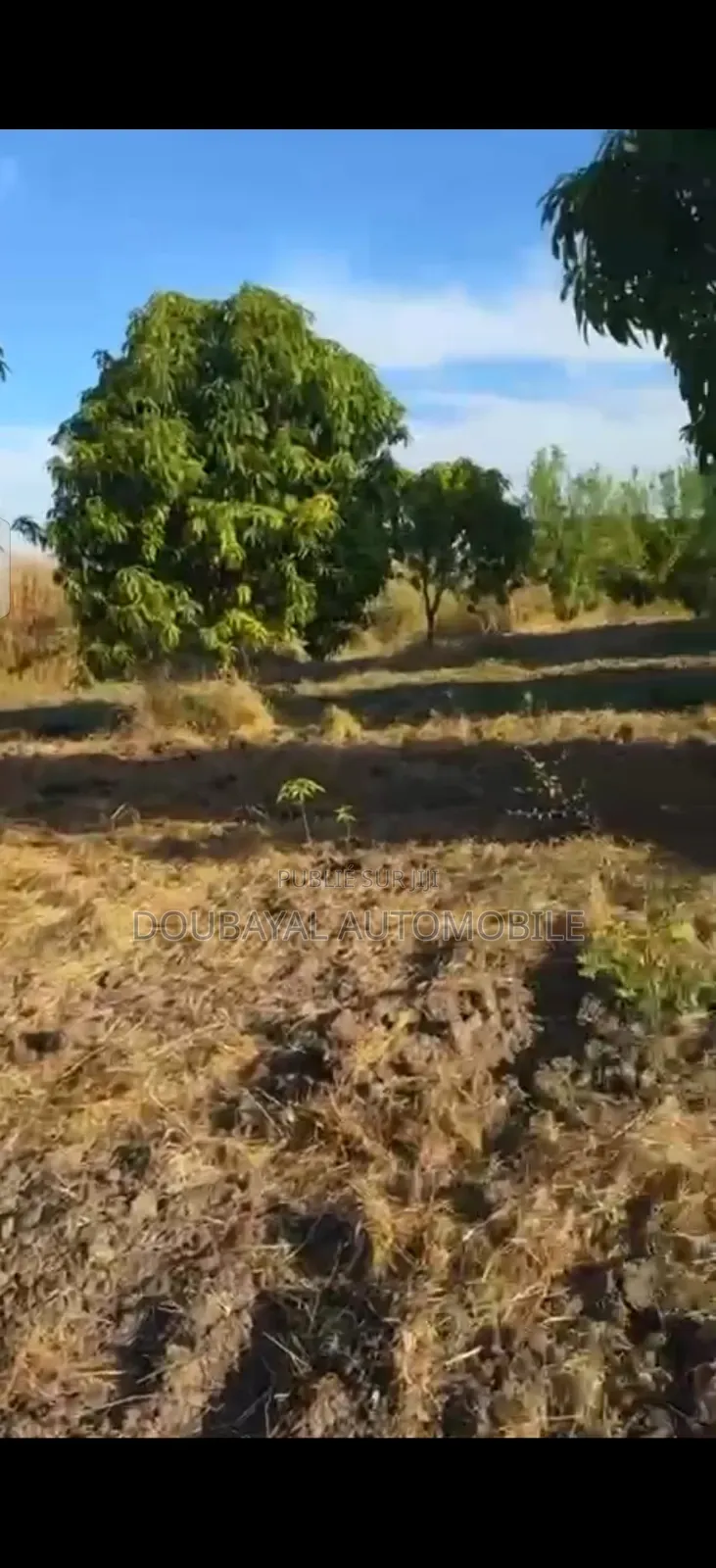 Ndofane Chapitres