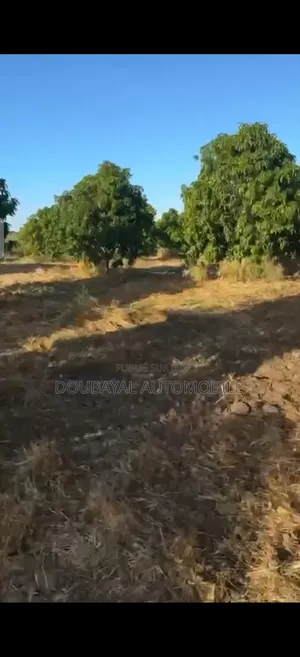 Ndofane Chapitres