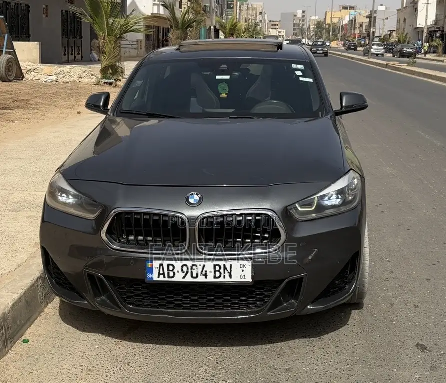 BMW X2 2019 Gris