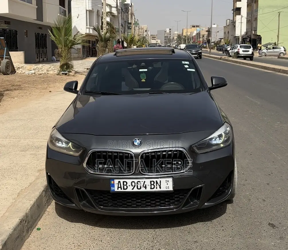 BMW X2 2019 Gris