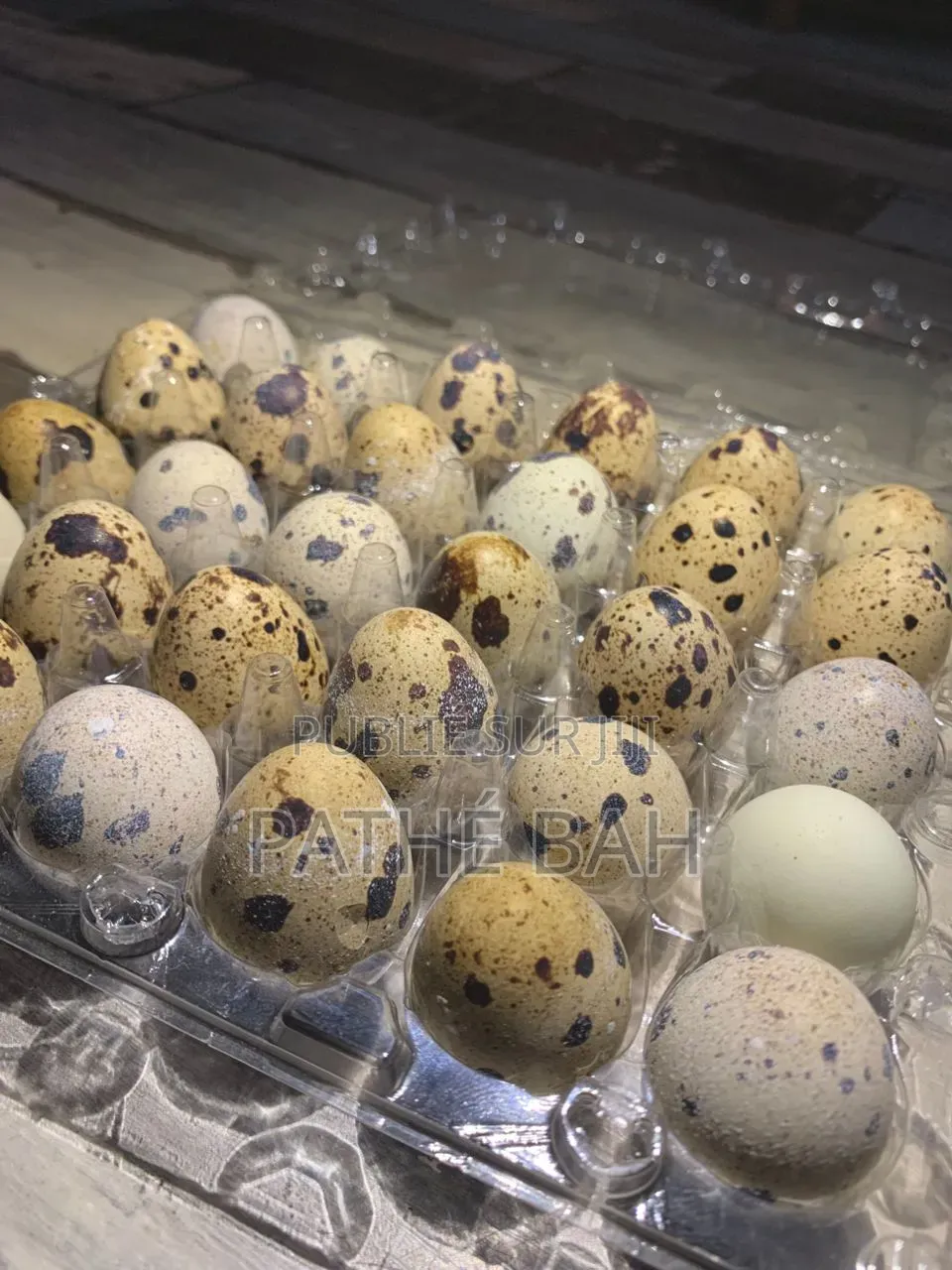 Oeufs De Caille