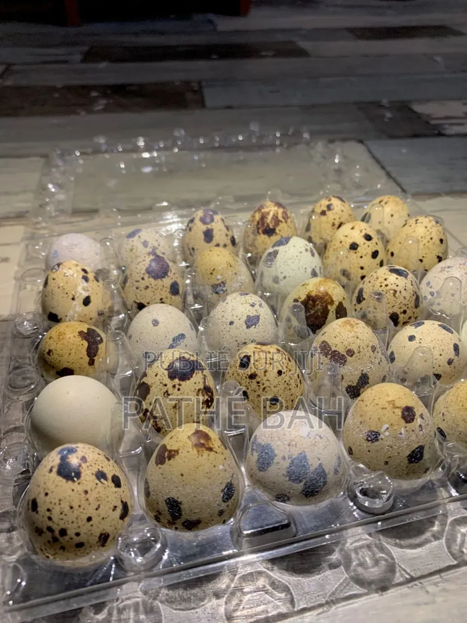 Oeufs De Caille