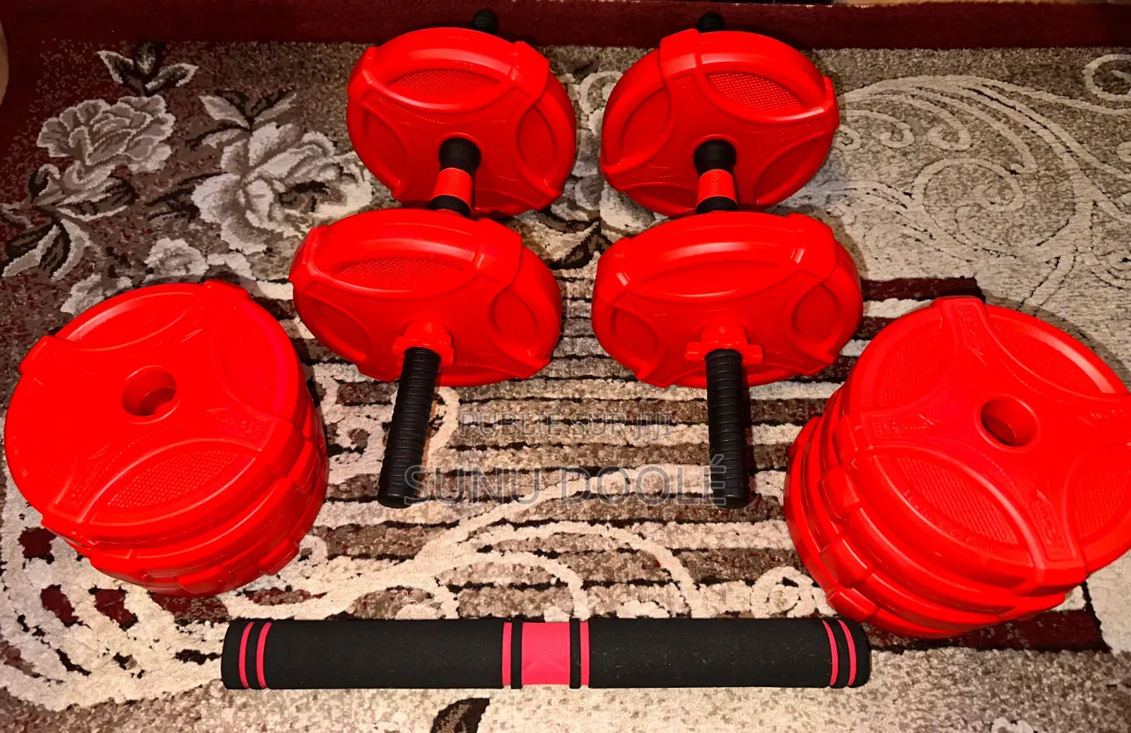 24 900 F Haltères 15kilo