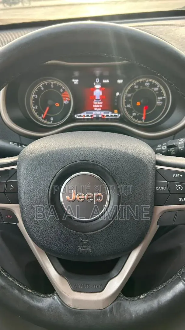 Jeep Cherokee 2016 Gris