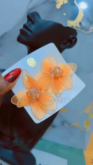 Boucles D’Oreilles Tendance Et Élégantes