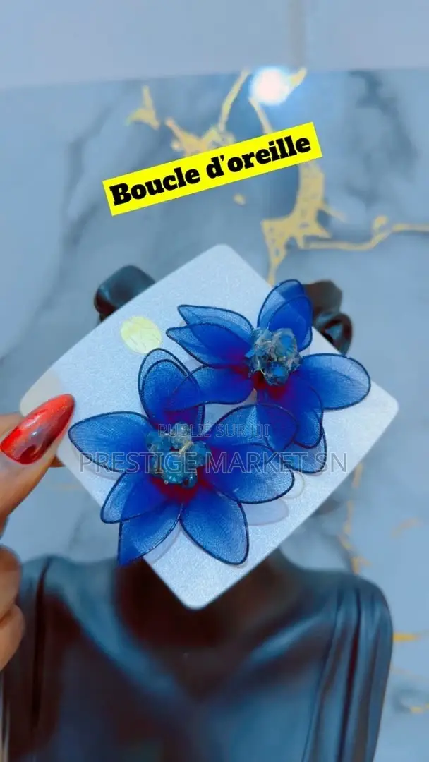 Boucles D’Oreilles Tendance Et Élégantes