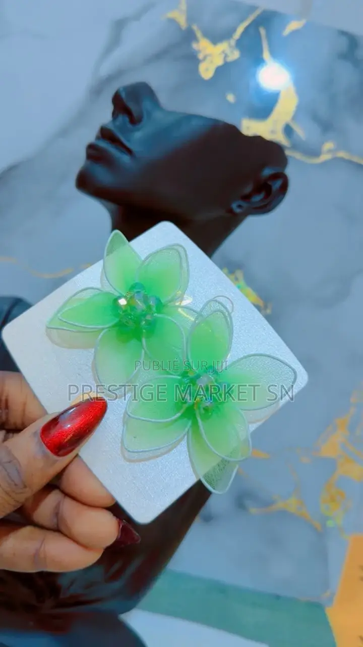 Boucles D’Oreilles Tendance Et Élégantes