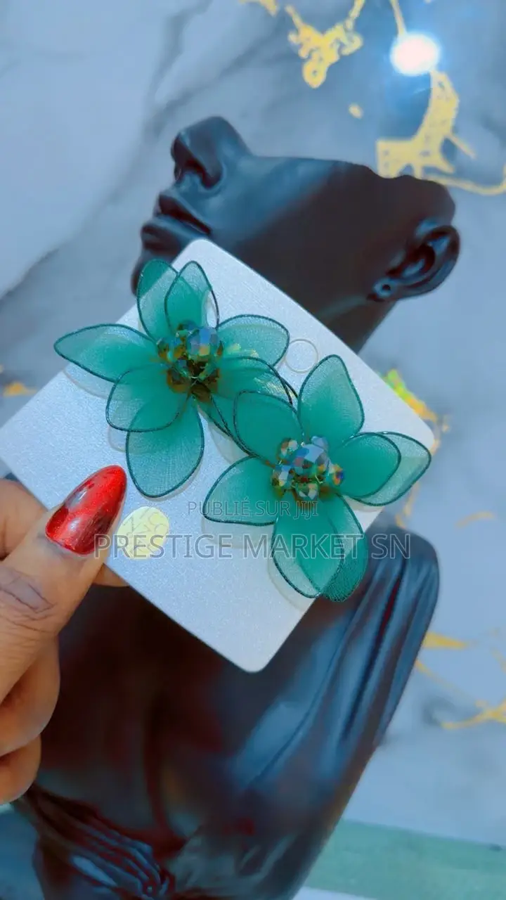 Boucles D’Oreilles Tendance Et Élégantes