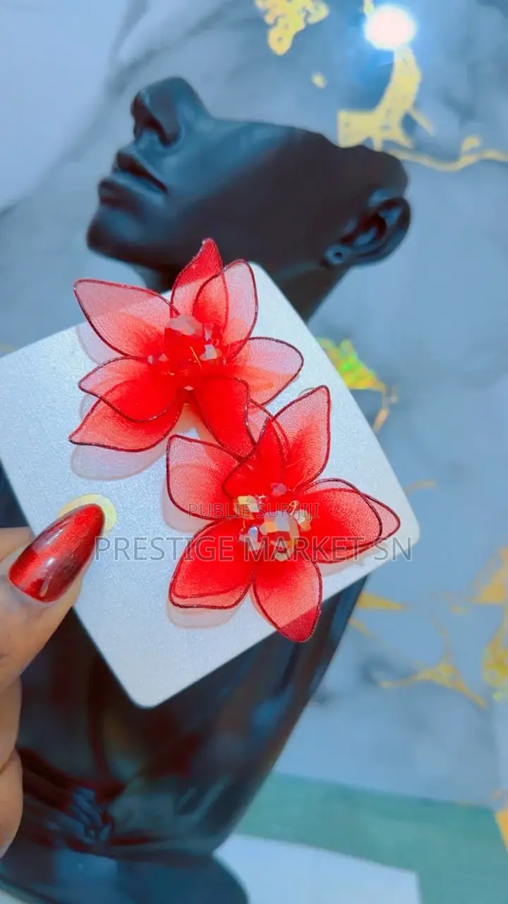 Boucles D’Oreilles Tendance Et Élégantes