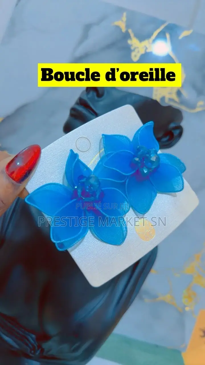 Boucles D’Oreilles Tendance Et Élégantes