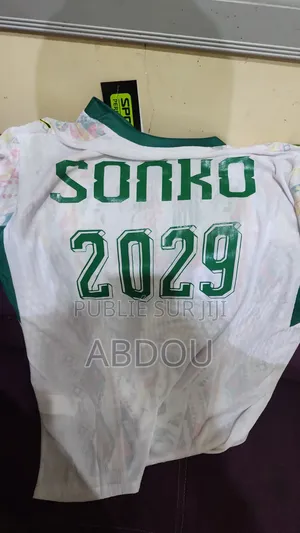 Sonko 2029