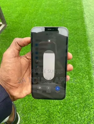 Nouveau Apple iPhone 12 Pro Max 512 GB Doré