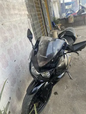 Kawasaki Ninja 300 2008 Noir