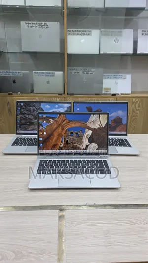 Ordinateur portable HP ProBook 445 G8 16GB AMD Ryzen 7 SSD 256GB