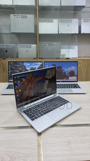 Ordinateur portable HP ProBook 445 G8 16GB AMD Ryzen 7 SSD 256GB
