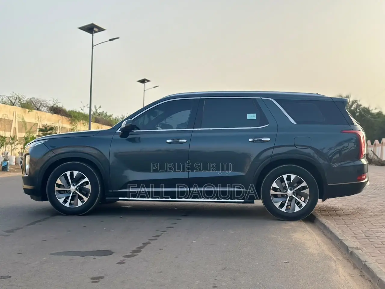 Hyundai Palissade 2019 Bleu