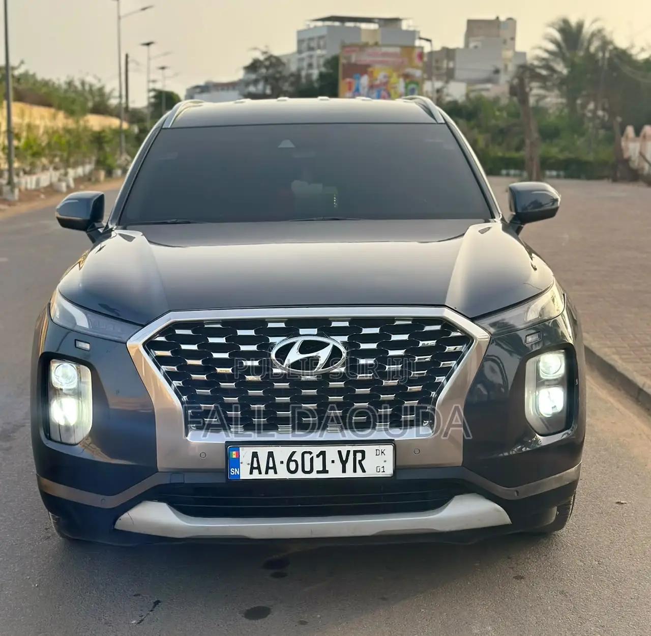 Hyundai Palissade 2019 Bleu