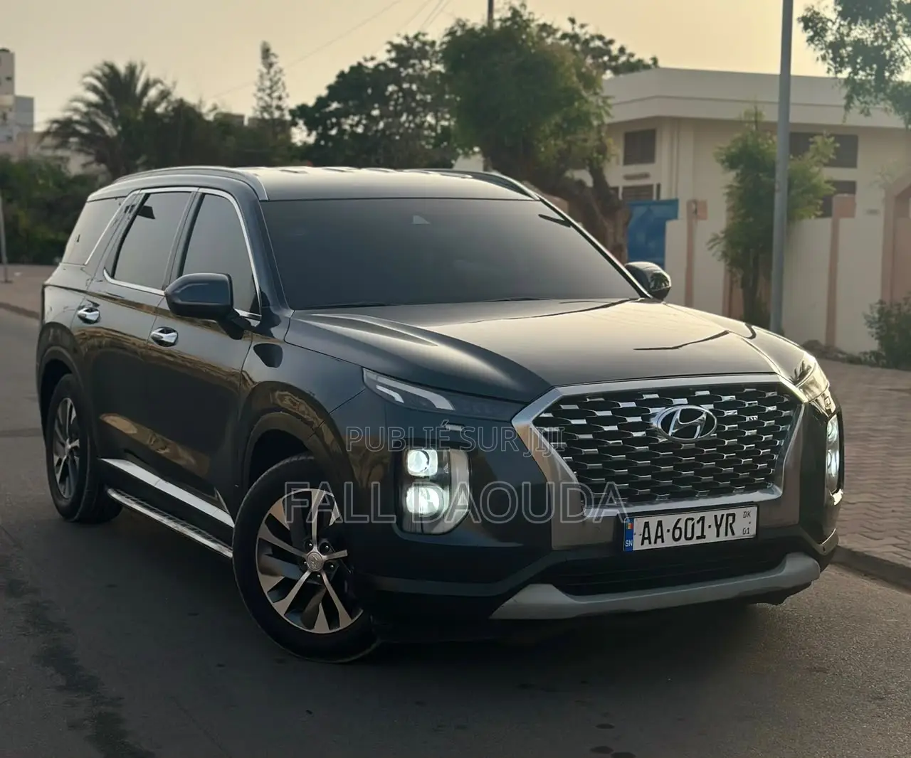 Hyundai Palissade 2019 Bleu