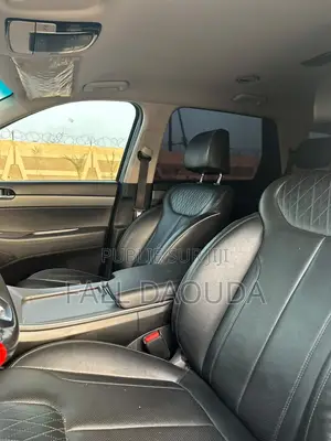 Hyundai Palissade 2019 Bleu